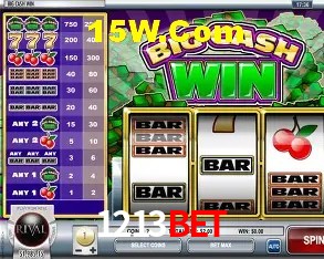 Account Benefits 1213bet